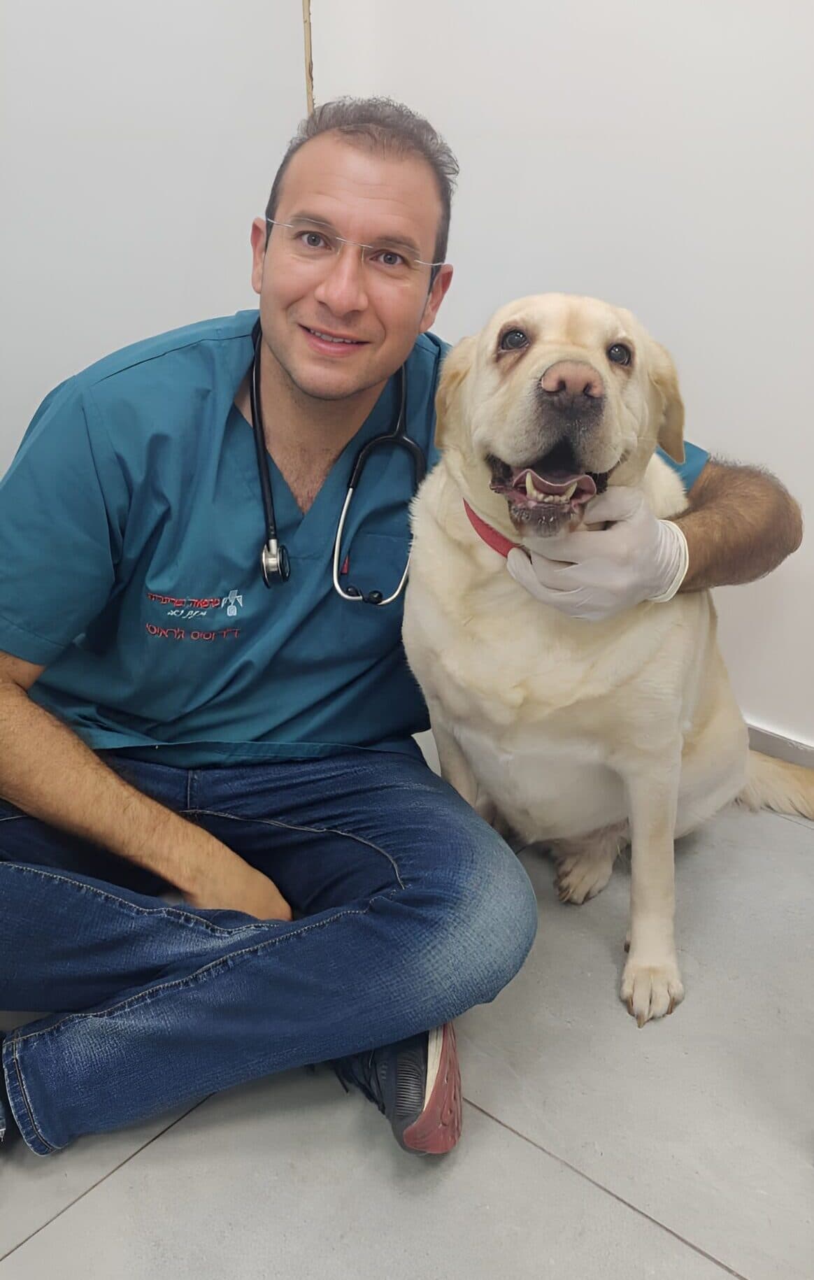 Clinical study case dog treated with SynergyMed technology