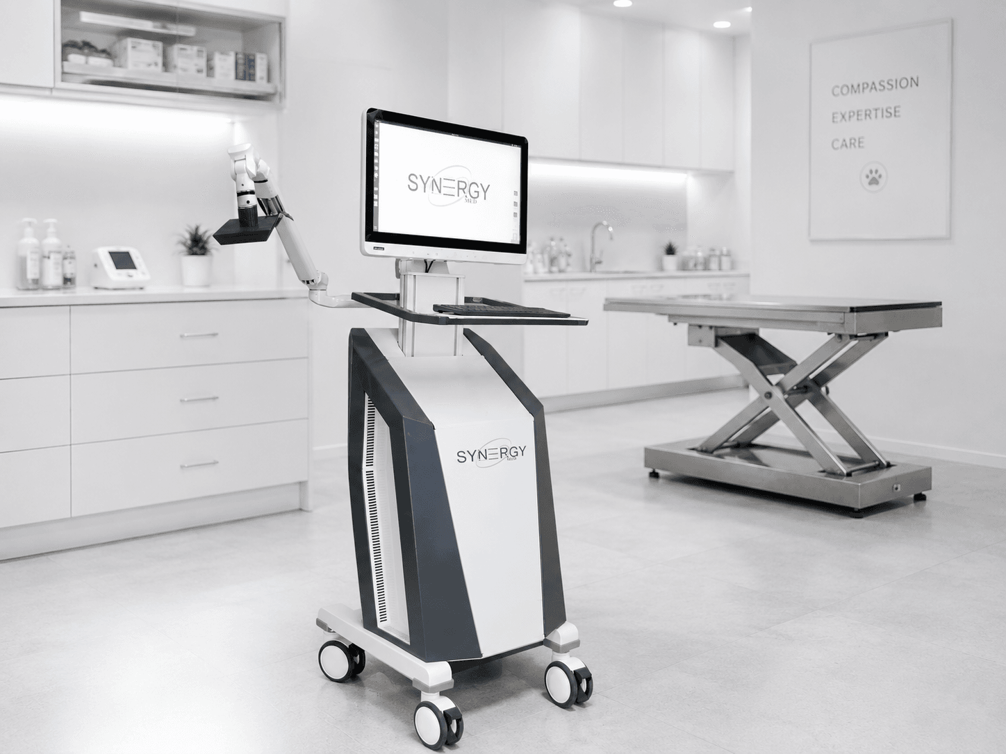 SynergyMed Medical Device for Tumor Ablation